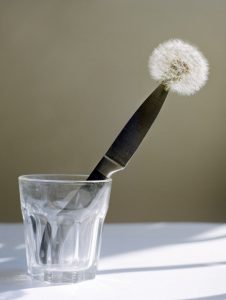 همدلی و روانکاوی